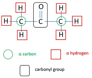 alfa carbon alfa hydrogen